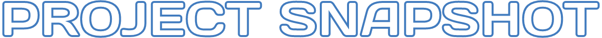 Project Snapshot